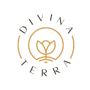 logo divina terra